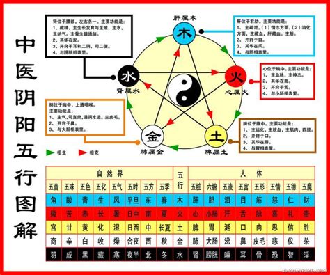 水火土木金|一分钟记住，五行相生相克。